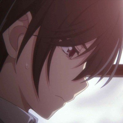 公司倒闭5只猫被法拍